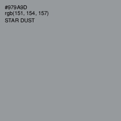 #979A9D - Star Dust Color Image